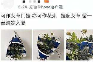 继续不败！绿军主场战绩来到12胜0负 队史上一次是07-08冠军赛季